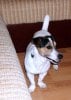 DSC04169.JPG