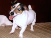 DSC04157.JPG