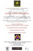 Copy of plakat%20Borenje-Ples.jpg