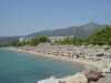 DSC00098.jpg