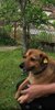 Screenshot_20190621-182008.jpg