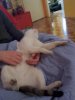 100_7331.jpg