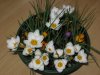 IMG_3567.jpg