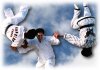 hapkido.jpg