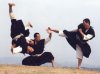 shorinji-kempo.jpg