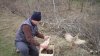 SDC13029.jpg