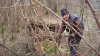 SDC13027.jpg