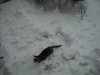 DSCN0080.JPG