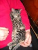 DSCN0037.jpg