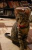DSCN0060.jpg