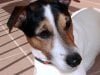 DSC04718.JPG