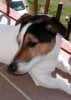 DSC04604.jpg