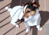 DSC04579.JPG