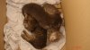 DSC00986.JPG