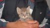 DSC01003.JPG