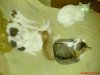 DSC00107.JPG