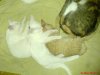 DSC00113.JPG