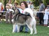 leon_alpha_09-cac_despotovac-06.jpg