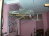 DSCN3784.jpg