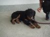 DSC02045.JPG