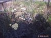 PICT0194.jpg