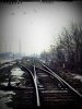 SDC13326.jpg
