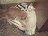DSC00400.JPG
