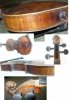 violina.jpg