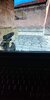 received_736087600520458.jpeg