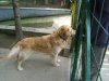 DSCF5371.jpg