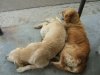 DSCF6146.JPG