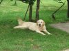 DSCF6183.jpg