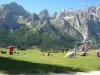 DSCN7913.jpg