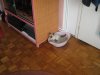 IMG_0110.jpg