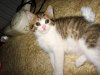 IMG_023333.jpg