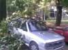Slika075.jpg