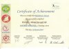 certificate 3.jpg