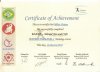certificate 2.jpg