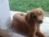 26072010539.jpg