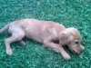 26072010540.jpg