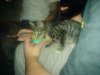 DSC05840.jpg