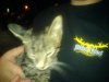 DSC05842.jpg