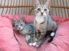 IMG_2454 - Copy.jpg