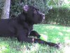 DSC00265.JPG