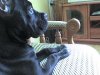 DSC00311.JPG