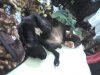 DSC00313.JPG