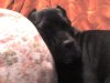 DSC00317.JPG