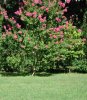 DSCN1057.jpg