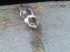 26082010564.jpg