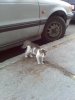 26082010563.jpg
